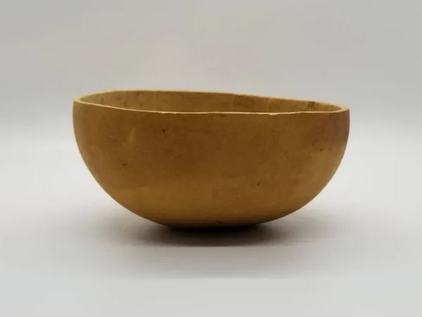Authentic calabash bowl