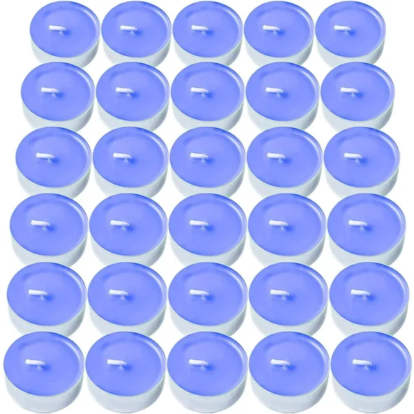 30 Blueberry Scented Tealight Candles