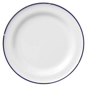 White / Blue Porcelain Plate - each